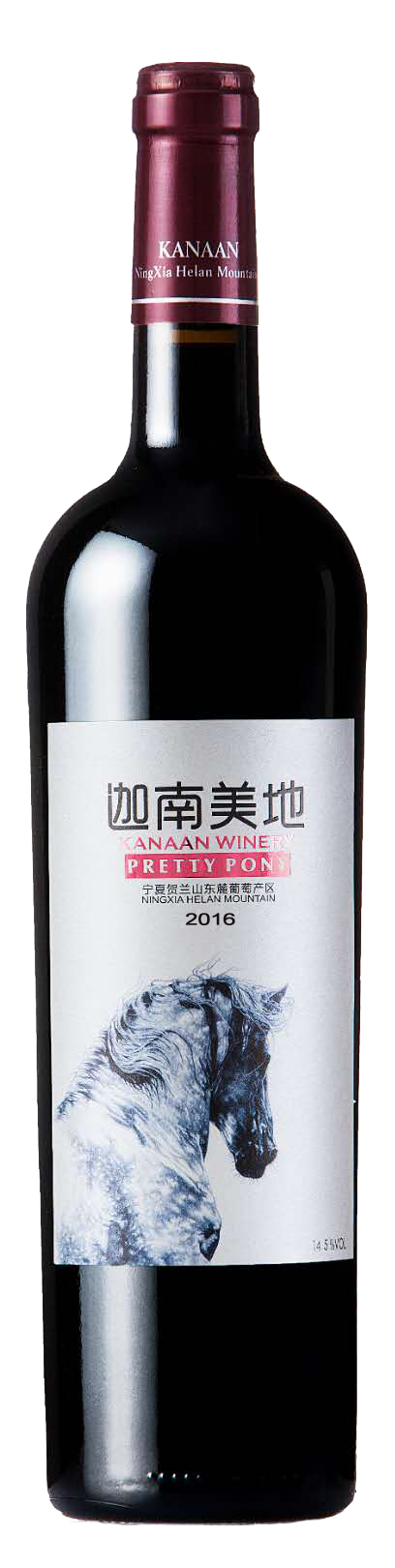 迦南美地酒庄, 迦南美地小马驹, 贺兰山东麓, 宁夏, 中国, 2016